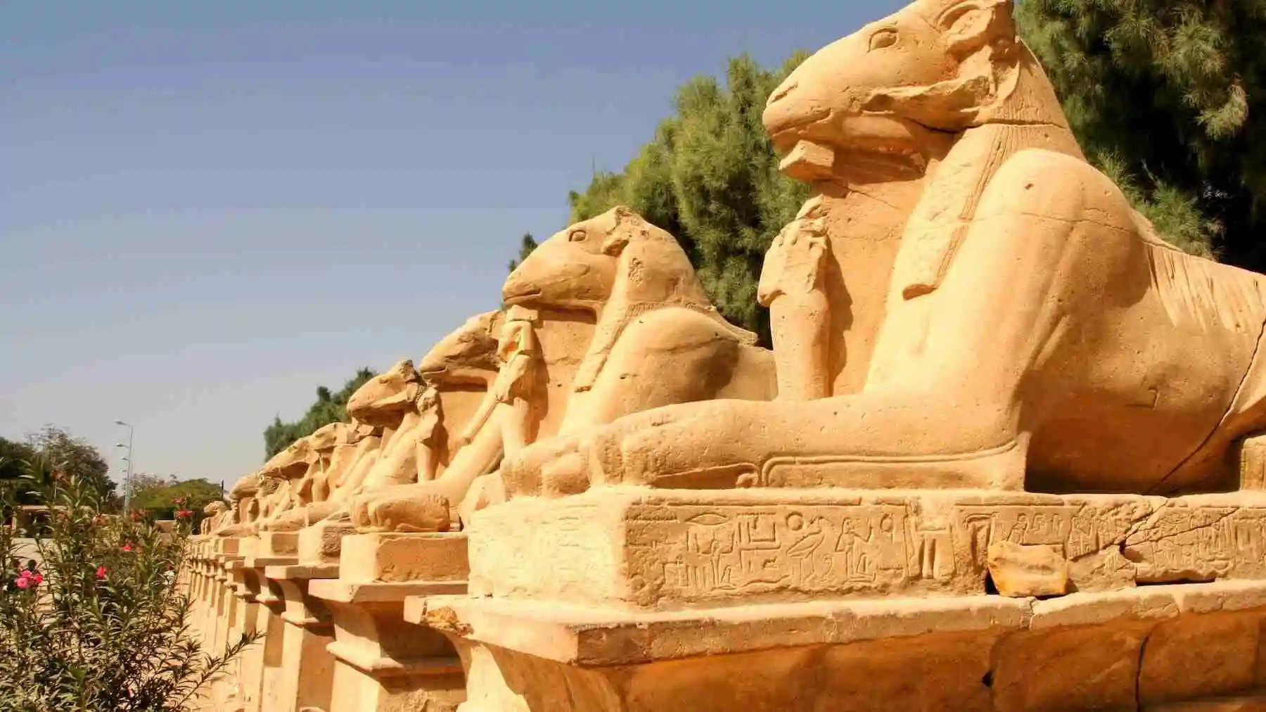 Read more about the article Egypt Travel Packages from Canada: Unforgettable Adventures Await